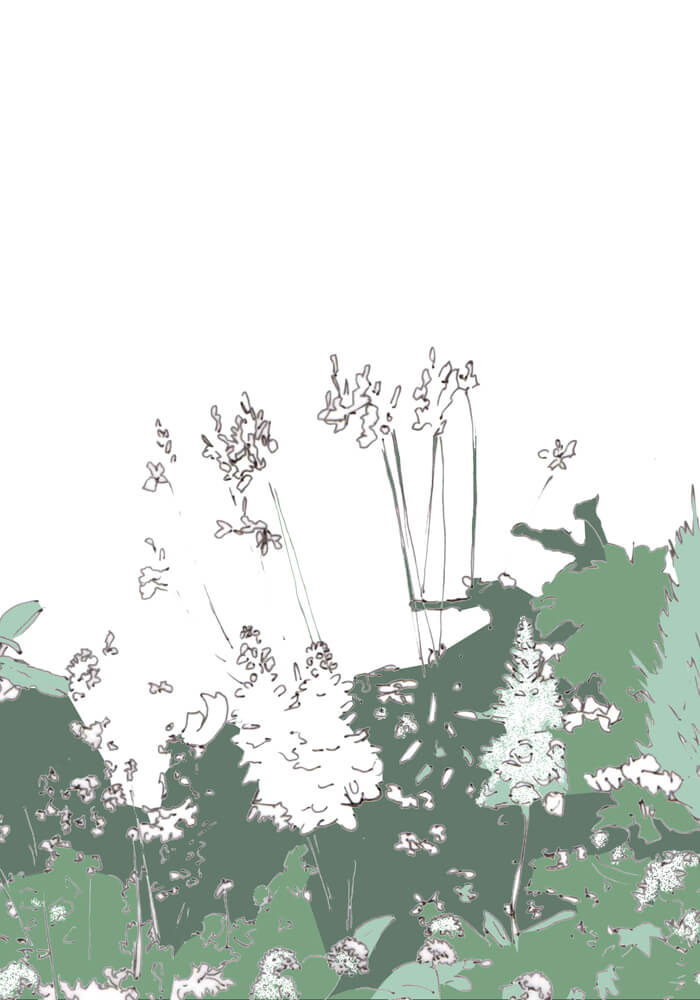 Grafik: weiße Blüten vor einer weißen Wand