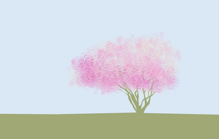 ein blühender, mehrstämmiger Baum
