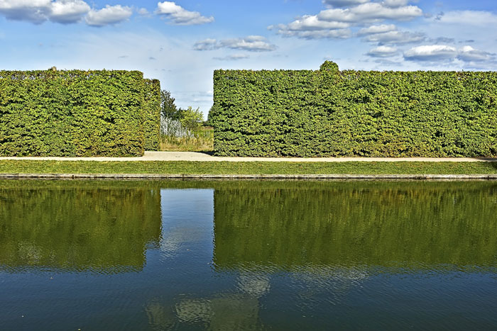 Hainbuchenhecken an spiegelndem Wasserbecken