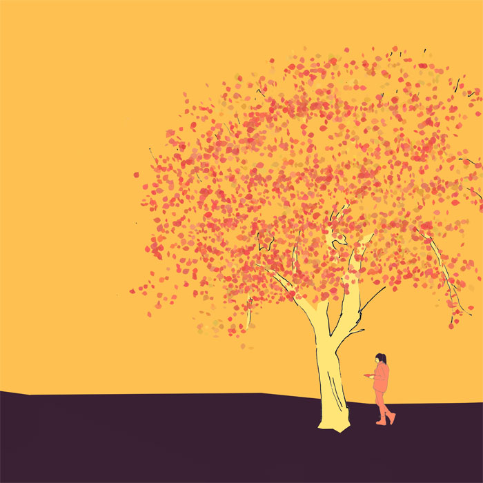 Ein ausgewchsener Apfelbaum mit einer lesenden Studentin daneben, Skizze, coloriert