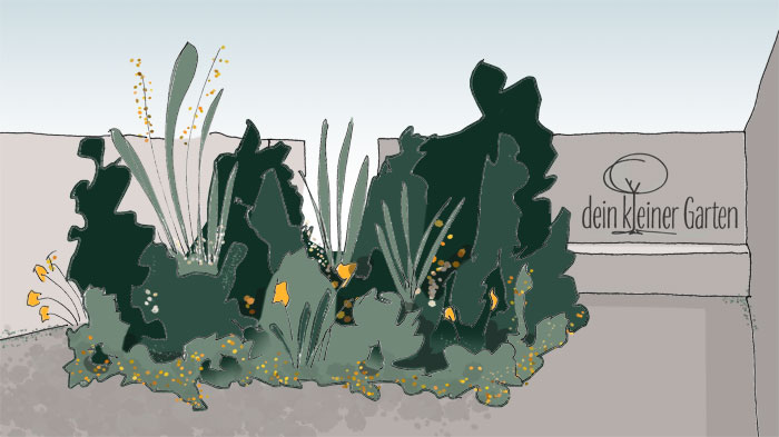 Skizze, handgezeichnet, coloriert
Perspektive eines kleinen Reihenhausgarten mit blickdichten Grenzen und einem zentralem Beet. Ein invertierter Garten, in dem das Beet nicht den Rand, sondern das Zentrum bildet.